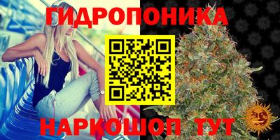 мдпв Ярцево