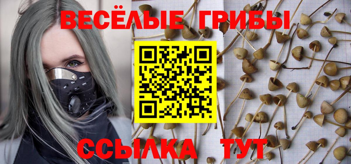 Галлюциногенные грибы Cubensis  Вход с VPN  Лесной 